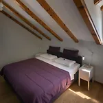 Ella فيلة Vojnovo Selo