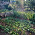 Ella Vojnovo Selo